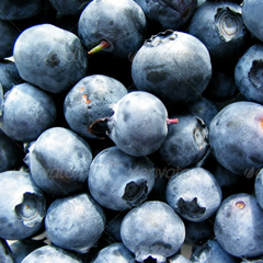 正版软件包的ddos攻击