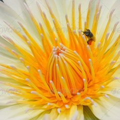 ip攻击器网页版