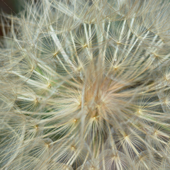 网络ddos攻击软件