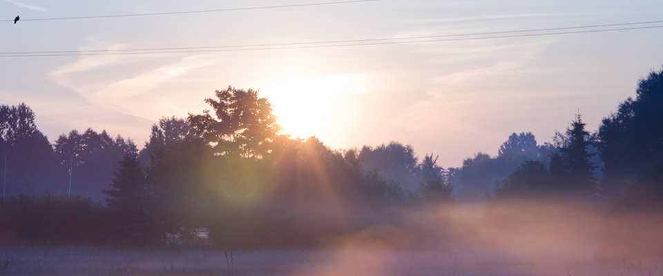 网络ddos攻击软件